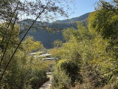 -莫干山风景区