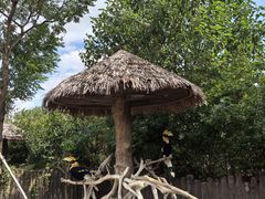 -上海野生动物园