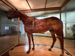 -墨尔本博物馆(Melbourne Museum)