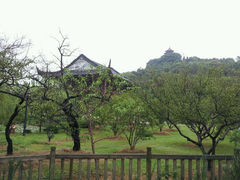 android_upload_pic-林屋洞景区