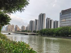 -光明港公园