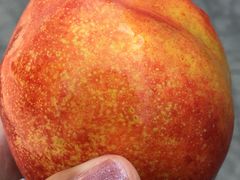 -北京大学-燕南食堂
