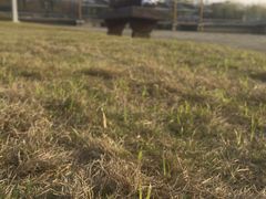 -白塘生态植物园