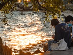 -宝安西湾红树林湿地公园