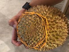 -都念榴莲·城市榴莲