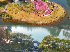 -四海公园(南山区)