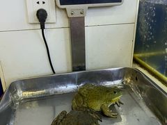 -活鱼馆(宜兴埠店)