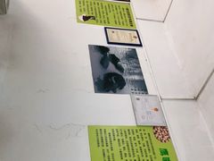-老周记顺德双皮奶