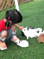 -萌宠亲子动物乐园(槐房万达店)