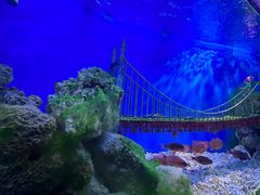 -太平洋海底世界