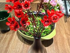 -云海肴·汽锅鸡·云南菜(天山百盛优客店)