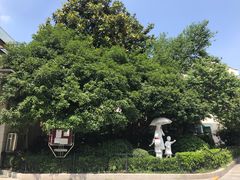 -上海市第一师范学校附属小学