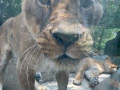 -栾川竹海野生动物园