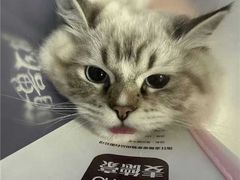 -萌兽医馆·宠物医院·猫骨科(创景店)