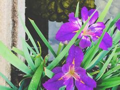 -万达影城(银兴菲林店)