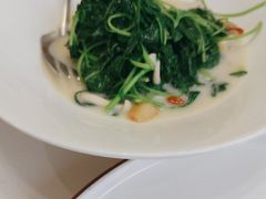 -樱苑(四川北路店)