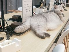 -Oasis绿洲银饰珍珠手作diy(壹方城店)