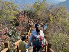 -大岭沟猕猴桃谷风景区