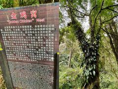 -云南屏边大围山国家公园