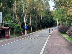 -火炉山森林公园
