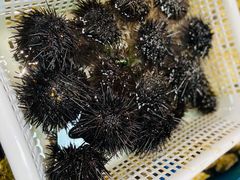 海胆-鲜味食族水产·海鲜餐厅