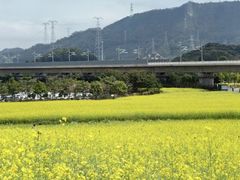 -光明小镇欢乐田园