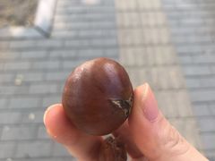 -秋栗香(地安门店)
