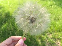-燕窝岭