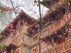 -大佛古寺