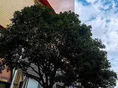 -隐溪茶馆(静安寺店)