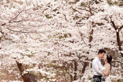-都市丽人婚纱摄影
