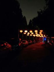 -陶然花园·婚宴