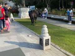-天坛大佛