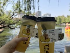 -翠湖公园