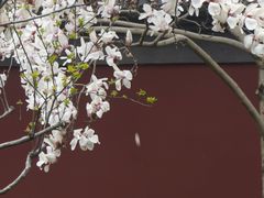 -钱王祠