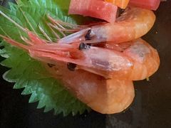 -长沙北辰洲际酒店-兰调全日餐厅