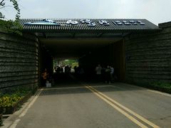 -白鹭湾湿地公园