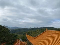 -深圳仙湖植物园
