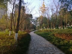 -重庆彩云湖湿地公园