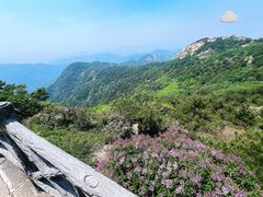 -泰山风景名胜区