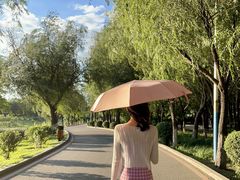 -丁香湖公园