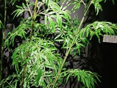 -湘邻呷铺·田园家宴(汉基广场店)