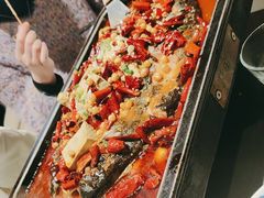 -炉鱼(亲橙里店)