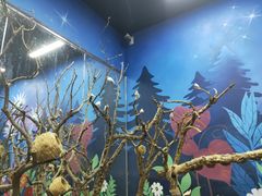 -海合安青岛极地海洋公园