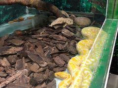 -广州长隆飞鸟乐园