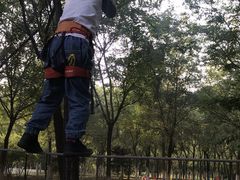 -永定河休闲森林公园