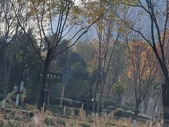 -华夏文旅西安度假区