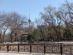 -玲珑塔公园
