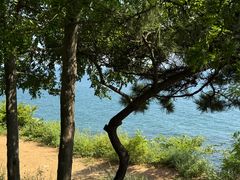 -星海湾跨海大桥