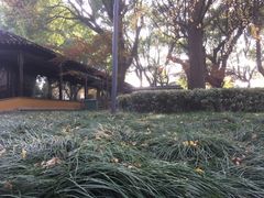 -北寺塔